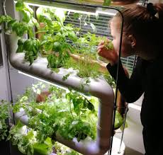 6 plant 2 liter bottle ebb & flow (flood and drain) system. Vertical Food Farming Is Growing Food With Hydroponic Urban Farm