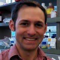 10+ "Blazer" profiles