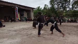 Lihat ide lainnya tentang pencak silat, seni bela diri, gambar. Download Gambar Gambar Jurus Psht 1 36 Terkini Miuiku