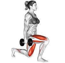 Check spelling or type a new query. Dumbbell Split Squats