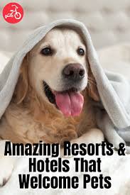 Easy to search resort directory featuring 30 pennsylvania pet friendly resorts. 15 Amazing Resorts Hotels That Welcome Pets In 2021 Hotels And Resorts Pet Friendly Hotels Pets