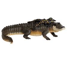 Safari Ltd Alligator With Babies