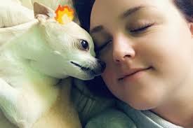 Fundraiser for Chantal Bourgon by Ariane Bourgon : Carlos needs our help!