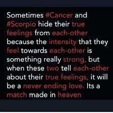 The scorpio and cancer magnetism could be so strong that they can't resist each other, and a scorpio woman is one of the most likely signs to try to steal a cancer man away from his partner. Scorpiocancer Cancer Zodiac Facts Scorpio Zodiac Facts Scorpio Love