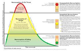 Pin On Polyvagal Theory