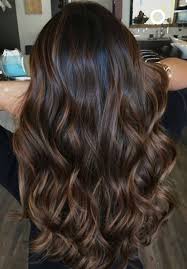 Pinterest Kkhushpin Hair Hairstyles Haircuts Balayage Highlights Lowlights Brunette Hair With Highlights Balayage Hair Highlights For Dark Brown Hair