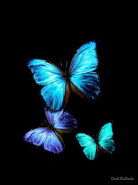 Black butterfly wallpapers wallpaper cave. Blue Butterfly Aesthetic Laptop Wallpaper Novocom Top