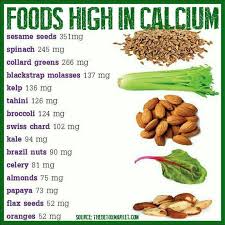 the importance of calcium the surrender blog