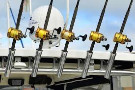 Fiberglass has been used since the 1950's and graphite, while newer and more expensive, has also gained a tremendous following. Saltwater Vs Freshwater Fishing Gear Descriptive Photos