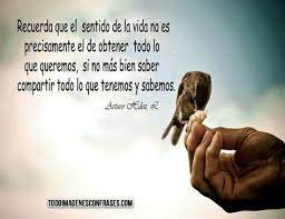 Frase sobre saber ser flexibles y cambiar de direccion si es necesario. 20 Ideas De Los Caminos De La Vida Frases Frases Bonitas Pensamientos
