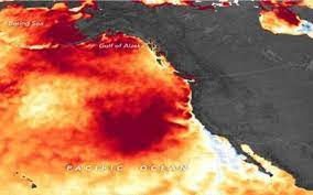 Uma onda de calor histórica, que até o dia 6 de outubro de 2020, já havia quebrado recordes de calor de mais de 100 anos. Desde El Espacio Registra Nasa Onda De Calor Que Afectara A Mexico La Voz De La Frontera Noticias Locales Policiacas Sobre Mexico Mexicali Baja California Y El Mundo