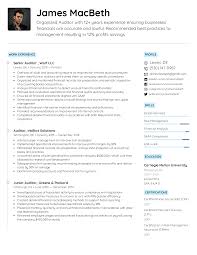 Auditors are no ordinary accountants. Auditor Resume Example Writing Tips For 2021