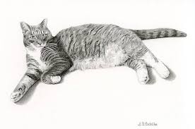 Cats have been around since prehistoric times. Black And White Cat Drawings Fine Art America