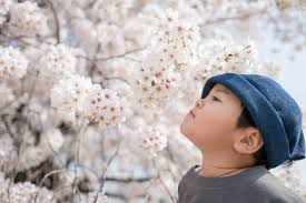 Maybe you would like to learn more about one of these? Top 10 Instagram Worthy Flower Spots In Metro Vancouver Vancouver Mom