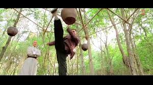 Чандни чоук в китае (chandni chowk to china)