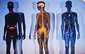 La mayoría de los casos, incluso los más graves, se recuperan totalmente. Documental Sobre El Sindrome De Guillain Barre Guia De La Discapacidad