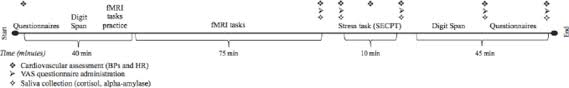 Star sessions leyla set 04. Stress Matters A Double Blind Randomized Controlled Trial On The Effects Of A Multispecies Probiotic On Neurocognition Biorxiv
