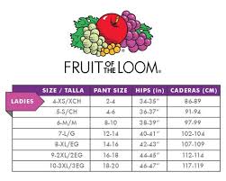 Fruit Of The Loom Womens 6 Pack Premium Ultra Soft Bikini