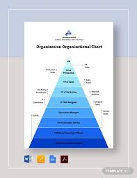 Large Organizational Chart Template 17 Free Word Pdf