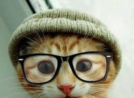 Kumpulan cheat pubg mobile 2020 auto win | ponsel. Imagenes Para Perfil De Whatsapp De Gatos Metadinhas Para Perfil Do Whatsapp