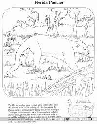 Florida panther society this site dedicated to the florida panther has plentiful panther info and some great florida panther pictures. Florida Panther Coloring Pages Florida Panther Public Domain Clip Art Image Wpclipart Com Florida Panther Animal Coloring Books Coloring Pages
