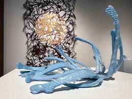 Image result for Lettowianthus stellatus