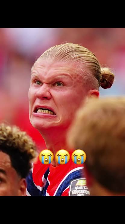 Haaland a walking meme 🤣 @Erling Haaland #haaland #meme #erlinghaaland #worldcup #football (via Getty Images)