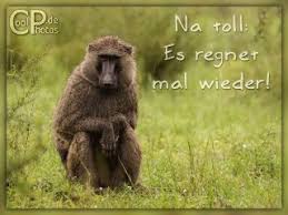 Dank unseres regenradars sehen sie stets zuverlässig, ob und wie viele niederschläge stündlich in darmstadt fallen. Coolphotos De Grusskarten Wetter Zu Kalt Oder Nass