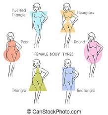 The vase is the most elegant body type, and the signature features are big boobs, gently curving longer waist, hips equal bust, slim thighs and legs. Female Body Types Vector Illustration Of Female Body Types Canstock