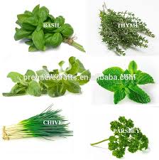 indoor wooden kitchen herb window