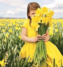 404 Not Found Flora And Henri Daffodils Flower Field Beautiful Flowers