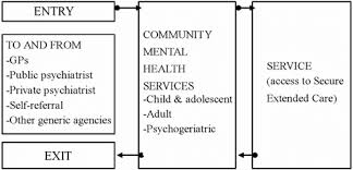 the flow chart of community mental health system download