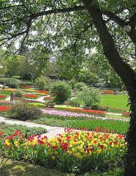 Gruga Park Essen Outdoor Farmland Flowers