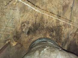 This solved an issue for me as my heat register happened to be directly under my pull out garbage cabinet, so this keeps my garbage from cooking while the heat is on. Do You Have An Air Register Under Your Kitchen Cabinet Auntiegen Www Auntigen Com Auntiegen Us