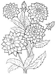 Pretty Flower Coloring Pages Flower Coloring Pages Coloring Pages Bird Coloring Pages