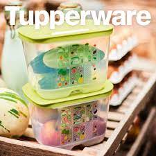 unsere klima oase ein kleines wunder fur die umwelt hier kannst du bis zu 2 wochen gemuse und obst aufbewahren ohne dir so tupperware rezepte tupperware party