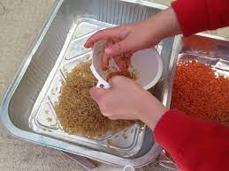 Preschoolers are full of enthusiasm even as they prepare to begin school. Sensory Lentils My Kid Craft