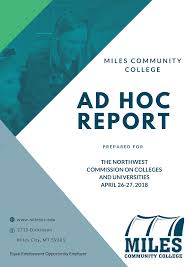 AD HOC REPORT