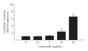 Cytotoxic and antioxidant capacity of camel milk peptides: Effect Of Camel Milk On Apoptotic Caspase 3 Catalytic Activity In Hepg2 Download Scientific Diagram