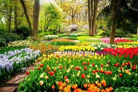 The variety of summer flowers doesn't stop at color, shape also plays a big role. 7 Million Bulbs Are Now In Bloom At The World S Largest Flower Garden