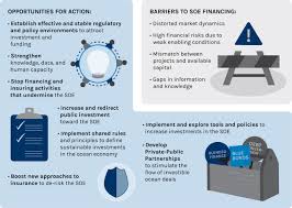 Who can apply for consumer financing? Financing A Sustainable Ocean Economy Nature Communications