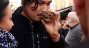 Son marché aux truffes est classé site remarquable du goût. Lancement Du Marche Aux Truffes De Lalbenque Tout Est Parti En 30 Minutes Lalbenque Truffesnoires Lalbenque Comtruffesnoires Lalbenque Com Syndicat Des Trufficulteurs De La Region De Lalbenque 05 65 21 95 77 06 83 62 34 00