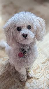 Just a little trim 🥰🐿️