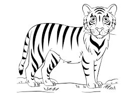 Klik untuk berbagi di linkedln(membuka di jendela yang baru). 93 Gambar Harimau Hitam Putih Untuk Mewarnai Paling Bagus Gambar Pixabay