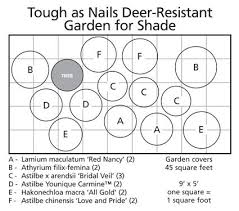 Tough As Nails Deer Resistant Garden For Shade Deer Resistant Garden Deer Resistant Garden Plans Deer Resistant Perennials