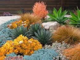 Garden Ideas Landscape Ideas Drought Tolerant Full Sun Part Sun Mediterrane Drought Tolerant Landscape Design Mediterranean Plants Drought Tolerant Garden
