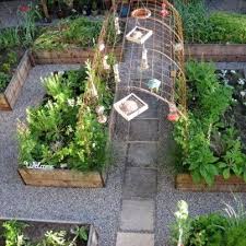 Wire Arch For Dads Passion Fruit Vine Have Skure Haveprojekter Haver