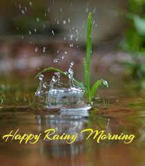 Hope you are enjoying the rains! Happy Rainy Morning Good Morning Rainy Day Good Morning Rain Rainy Day Images