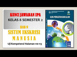 We did not find results for: Download Jawaban Esai Uji Kompetensi Bab 9 Ipa Kelas 8 Halaman 112 Sistem Ekskresi Manusia Mp3 Mp4 3gp Flv Download Lagu Mp3 Gratis