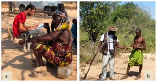 Image result for Oldfieldia dactylophylla